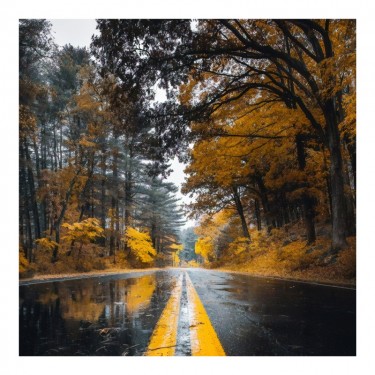 Πίνακας σε καμβά Savgone ψηφιακής εκτύπωσης 50x1.8x50εκ Υλικό: MELAMINE 176-000168