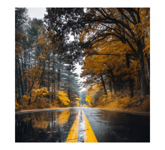 Πίνακας σε καμβά Savgone ψηφιακής εκτύπωσης 50x1.8x50εκ Υλικό: MELAMINE 176-000168