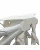 Κονσόλα Lyle χειροποίητη μασίφ ξύλο λευκό 100x38x80εκ Υλικό: WOOD 238-000006 Κονσόλα Lyle χειροποίητη μασίφ ξύλο λευκό 100x38x80εκ Υλικό: WOOD 238-000006