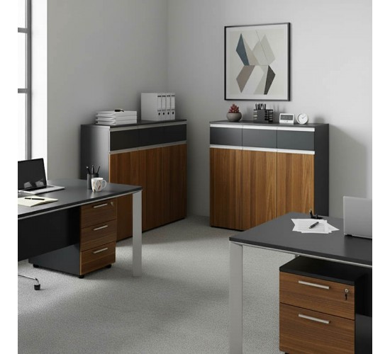 Ντουλάπια γραφείου επαγγελματικά Oscar καρυδί-ανθρακί 240x40x120εκ Υλικό: MELAMINE 246-000036