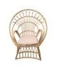 Πολυθρόνα Boloni Inart με μπεζ μαξιλάρι-φυσικό rattan 100x67x120εκ Υλικό: RATTAN-LASIO 314-000006 Πολυθρόνα Boloni Inart με μπεζ μαξιλάρι-φυσικό rattan 100x67x120εκ Υλικό: RATTAN-LASIO 314-000006