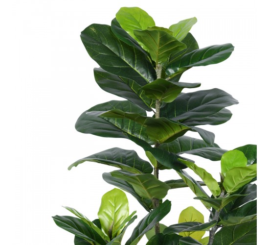 Διακοσμητικό φυτό Fiddlehead σε γλάστρα Inart πράσινο pp Υ120εκ Υλικό: PP 316-000001