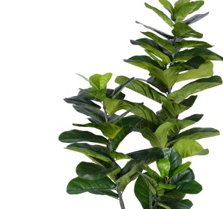 Διακοσμητικό φυτό Fiddlehead I σε γλάστρα Inart πράσινο pp Υ180εκ Υλικό: PP 316-000002