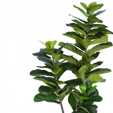 Διακοσμητικό φυτό Fiddlehead I σε γλάστρα Inart πράσινο pp Υ180εκ Υλικό: PP 316-000002