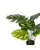 Διακοσμητικό φυτό Monstera σε γλάστρα Inart πράσινο pp Υ70εκ Υλικό: PP 316-000003