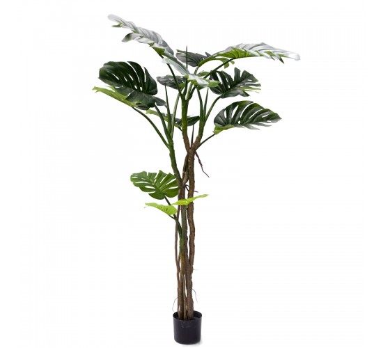 Διακοσμητικό φυτό σε γλάστρα Monstera III Inart πράσινο pp Υ180εκ Υλικό: PP 316-000006