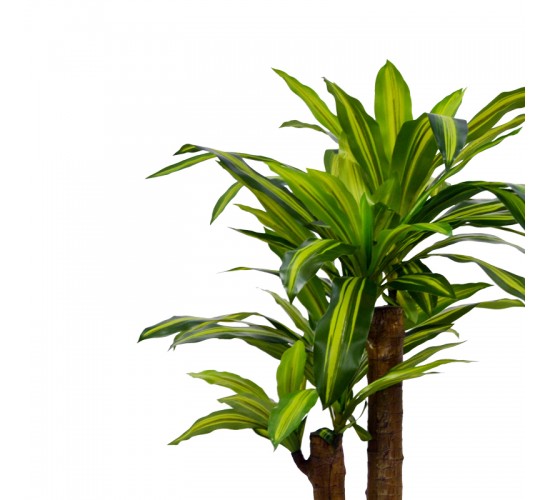 Διακοσμητικό φυτό Dracaena σε γλάστρα Inart πράσινο pp Υ110εκ Υλικό: PP 316-000008