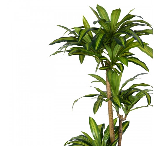 Διακοσμητικό φυτό Dracaena I σε γλάστρα Inart πράσινο pp Υ170εκ Υλικό: PP 316-000009