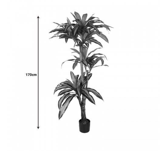 Διακοσμητικό φυτό Dracaena I σε γλάστρα Inart πράσινο pp Υ170εκ Υλικό: PP 316-000009