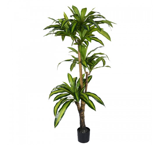 Διακοσμητικό φυτό Dracaena I σε γλάστρα Inart πράσινο pp Υ170εκ Υλικό: PP 316-000009