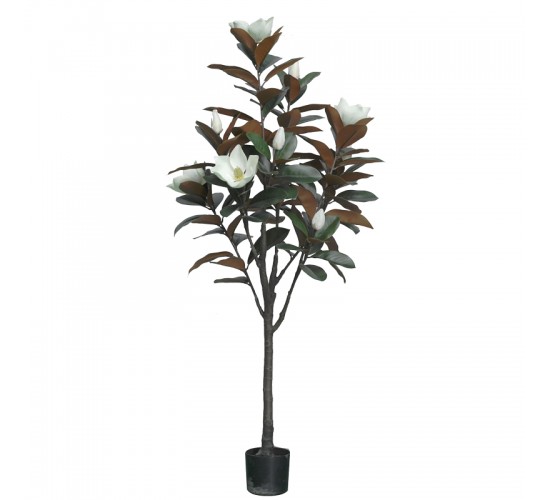 Διακοσμητικό φυτό Mangola I σε γλάστρα Inart λευκό pp Υ155εκ Υλικό: PP 316-000027