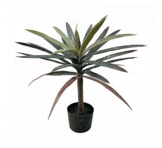 Διακοσμητικό φυτό Dracaena palm σε γλάστρα Inart πράσινο pp Υ62εκ Υλικό: PP 316-000038