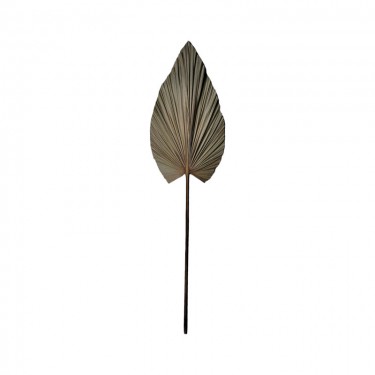Διακοσμητικό φύλλο Leafen I Inart φυσικό palm leaf 130εκ Υλικό: PALM LEAF 335-000015