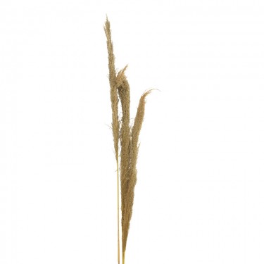 Διακοσμητικό φυτό pampas Beroun Inart σετ των 3τεμ σε φυσική απόχρωση Υ140εκ 343-000109