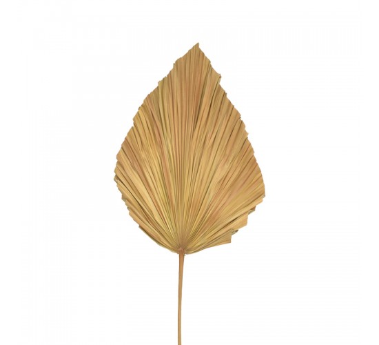Διακοσμητικό φύλλο Walsy Inart palm leaf σε φυσική απόχρωση Υ135 εκ 343-000115 Διακοσμητικό φύλλο Walsy Inart palm leaf σε φυσική απόχρωση Υ135 εκ 343-000115