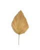 Διακοσμητικό φύλλο Walsy Inart palm leaf σε φυσική απόχρωση Υ135 εκ 343-000115 Διακοσμητικό φύλλο Walsy Inart palm leaf σε φυσική απόχρωση Υ135 εκ 343-000115