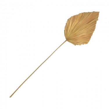 Διακοσμητικό φύλλο Walsy Inart palm leaf σε φυσική απόχρωση Υ135 εκ 343-000115