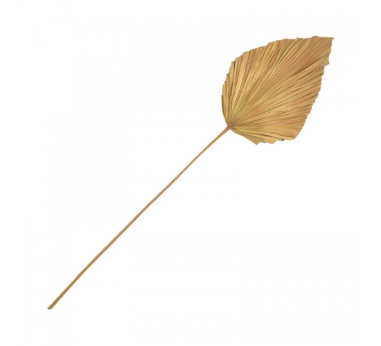 Διακοσμητικό φύλλο Walsy Inart palm leaf σε φυσική απόχρωση Υ135 εκ 343-000115 Διακοσμητικό φύλλο Walsy Inart palm leaf σε φυσική απόχρωση Υ135 εκ 343-000115