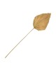 Διακοσμητικό φύλλο Walsy Inart palm leaf σε φυσική απόχρωση Υ135 εκ 343-000115 Διακοσμητικό φύλλο Walsy Inart palm leaf σε φυσική απόχρωση Υ135 εκ 343-000115