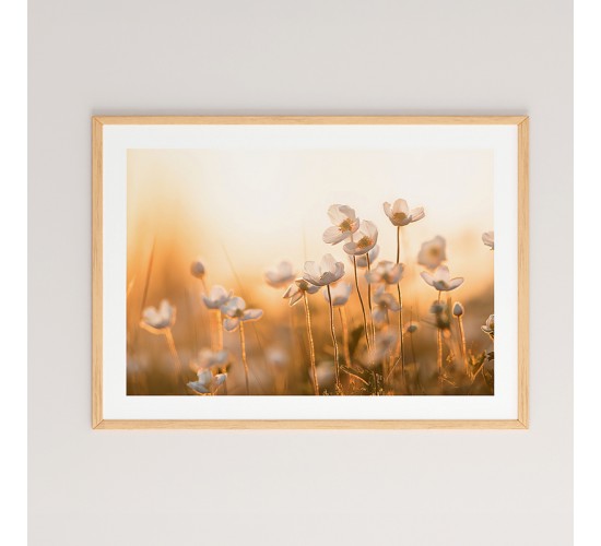 Πίνακας Floraza με ψηφιακή εκτύπωση και πλαίσιο 48x1.5x33εκ Υλικό: SOLID WOOD - CARDBOARD 409-000003