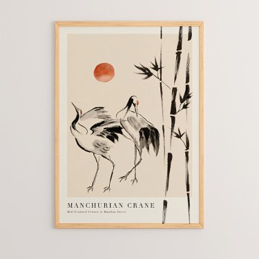 Πίνακας Birdo με ψηφιακή εκτύπωση και πλαίσιο 33x1.5x48εκ Υλικό: SOLID WOOD - CARDBOARD 409-000019