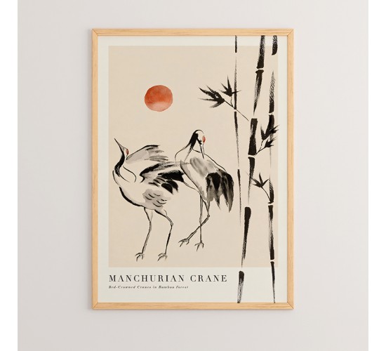 Πίνακας Birdo με ψηφιακή εκτύπωση και πλαίσιο 33x1.5x48εκ Υλικό: SOLID WOOD - CARDBOARD 409-000019