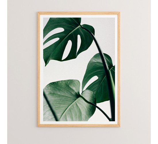 Πίνακας Leafy με ψηφιακή εκτύπωση και πλαίσιο 33x1.5x48εκ Υλικό: SOLID WOOD - CARDBOARD 409-000031