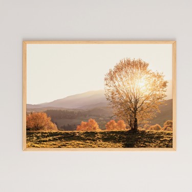 Πίνακας Vila με ψηφιακή εκτύπωση και πλαίσιο 48x1.5x33εκ Υλικό: SOLID WOOD - CARDBOARD 409-000033