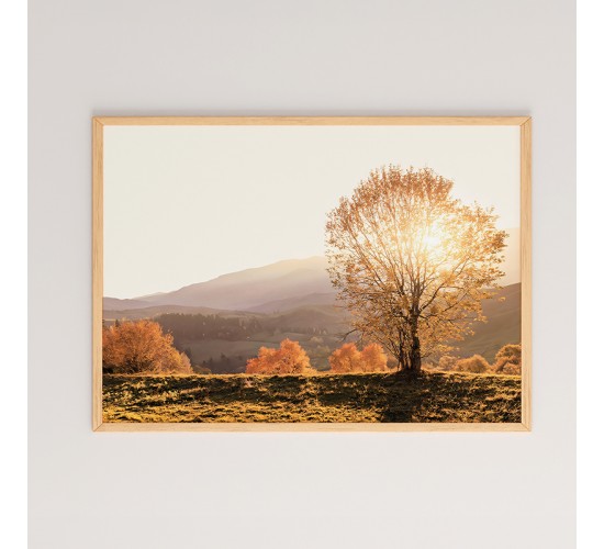 Πίνακας Vila με ψηφιακή εκτύπωση και πλαίσιο 48x1.5x33εκ Υλικό: SOLID WOOD - CARDBOARD 409-000033