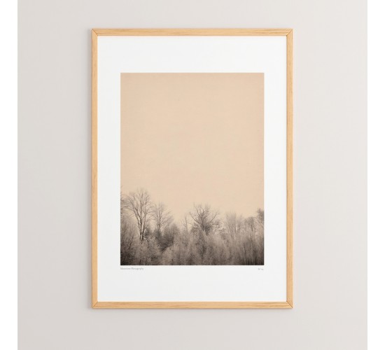 Πίνακας Quany με ψηφιακή εκτύπωση και πλαίσιο 33x1.5x48εκ Υλικό: SOLID WOOD - 3MM CARDBOARD 409-000057