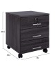 ΣΥΡΤΑΡΙΕΡΑ ΓΡΑΦΕΙΟΥ HAYDEN HM2282.01 ΣΕ ΑΝΘΡΑΚΙ ΧΡΩΜΑ 39.5x40x46.5Υεκ