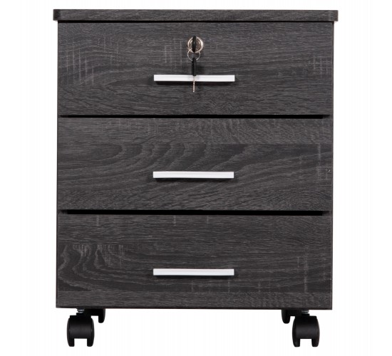 ΣΥΡΤΑΡΙΕΡΑ ΓΡΑΦΕΙΟΥ HAYDEN HM2282.01 ΣΕ ΑΝΘΡΑΚΙ ΧΡΩΜΑ 39.5x40x46.5Υεκ