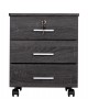 ΣΥΡΤΑΡΙΕΡΑ ΓΡΑΦΕΙΟΥ HAYDEN HM2282.01 ΣΕ ΑΝΘΡΑΚΙ ΧΡΩΜΑ 39.5x40x46.5Υεκ