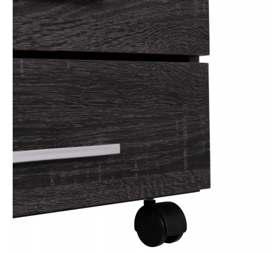 ΣΥΡΤΑΡΙΕΡΑ ΓΡΑΦΕΙΟΥ HAYDEN HM2282.01 ΣΕ ΑΝΘΡΑΚΙ ΧΡΩΜΑ 39.5x40x46.5Υεκ