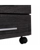 ΣΥΡΤΑΡΙΕΡΑ ΓΡΑΦΕΙΟΥ HAYDEN HM2282.01 ΣΕ ΑΝΘΡΑΚΙ ΧΡΩΜΑ 39.5x40x46.5Υεκ