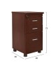 ΣΥΡΤΑΡΙΕΡΑ ΓΡΑΦΕΙΟΥ VANCE ΕΠΑΓΓΕΛΜΑΤΙΚΗ WENGE HM2049.12 40X46X75Υ εκ.