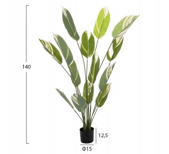 ΔΙΑΚΟΣΜΗΤΙΚΟ ΣΥΝΘΕΤΙΚΟ ΦΥΤΟ HM7997 CALATHEA ΣΕ ΓΛΑΣΤΡΑ 140Υεκ.