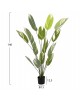 ΔΙΑΚΟΣΜΗΤΙΚΟ ΣΥΝΘΕΤΙΚΟ ΦΥΤΟ HM7997 CALATHEA ΣΕ ΓΛΑΣΤΡΑ 140Υεκ.