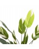 ΔΙΑΚΟΣΜΗΤΙΚΟ ΣΥΝΘΕΤΙΚΟ ΦΥΤΟ HM7997 CALATHEA ΣΕ ΓΛΑΣΤΡΑ 140Υεκ.