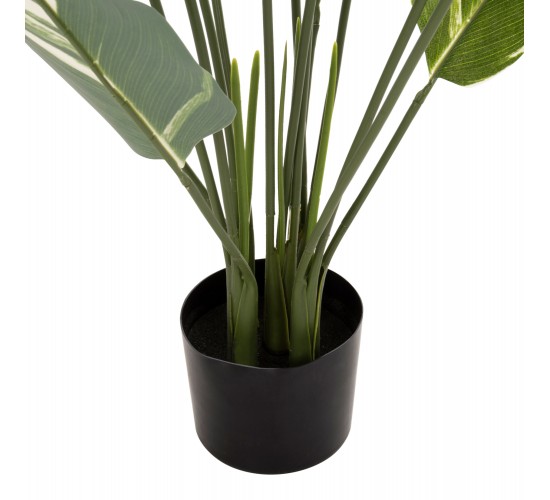ΔΙΑΚΟΣΜΗΤΙΚΟ ΣΥΝΘΕΤΙΚΟ ΦΥΤΟ HM7997 CALATHEA ΣΕ ΓΛΑΣΤΡΑ 140Υεκ.