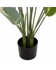 ΔΙΑΚΟΣΜΗΤΙΚΟ ΣΥΝΘΕΤΙΚΟ ΦΥΤΟ HM7997 CALATHEA ΣΕ ΓΛΑΣΤΡΑ 140Υεκ.