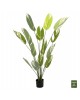 ΔΙΑΚΟΣΜΗΤΙΚΟ ΣΥΝΘΕΤΙΚΟ ΦΥΤΟ HM7997 CALATHEA ΣΕ ΓΛΑΣΤΡΑ 140Υεκ.