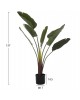 ΔΙΑΚΟΣΜΗΤΙΚΟ ΣΥΝΘΕΤΙΚΟ ΦΥΤΟ HM7981 ΣΤΡΕΛΙΤΣΙΑ ΣΕ ΓΛΑΣΤΡΑ Φ17x14,5-137Y εκ.