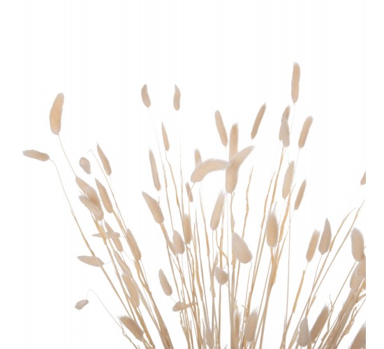ΔΙΑΚΟΣΜΗΤΙΚΟ ΜΠΟΥΚΕΤΟ ΑΠΟΞΗΡΑΜΕΝΟ HM7959 RABBIT TAIL- CREAM 50gr 76Υεκ.