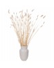 ΔΙΑΚΟΣΜΗΤΙΚΟ ΜΠΟΥΚΕΤΟ ΑΠΟΞΗΡΑΜΕΝΟ HM7959 RABBIT TAIL- CREAM 50gr 76Υεκ.