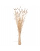 ΔΙΑΚΟΣΜΗΤΙΚΟ ΜΠΟΥΚΕΤΟ ΑΠΟΞΗΡΑΜΕΝΟ HM7959 RABBIT TAIL- CREAM 50gr 76Υεκ.