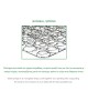 ΣΤΡΩΜΑ Bonnell Spring Roll Pack, Διπλής Όψης (1)  90x190x19cm [-Άσπρο-] [-Spring/Διπλής Όψης-] Ε2054,6Β
