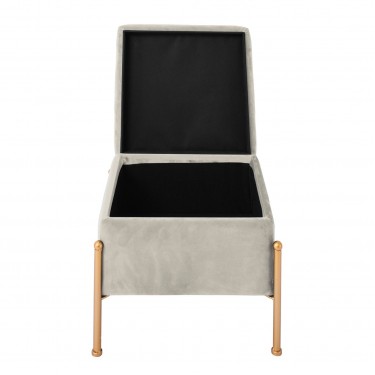 RAY Αποθηκευτικό Σκαμπό, Μέταλλο Βαφή Χρυσό, Ύφασμα Velure, Απόχρωση Γκρι  40x40x37cm [-Γκρι-, -Χρυσό-] [-Μέταλλο-, -Ύφασμα-] Ε7031,4