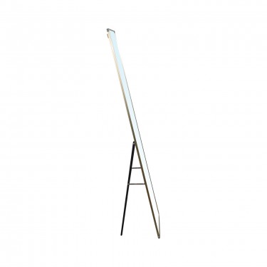 DAYTON Καθρέπτης Δαπέδου - Τοίχου Αλουμίνιο, Απόχρωση Χρυσό  40x33x160cm [-Χρυσό-] [-Αλουμίνιο-] Ε7182,2